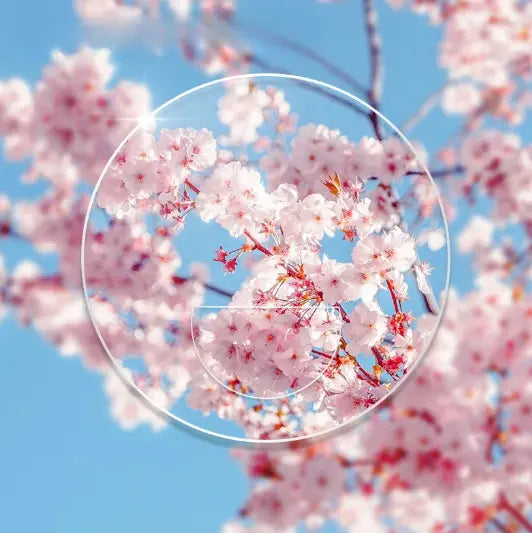Flat Top Round Bifocal Clear Lenses — view 2 | Rx Spectacle