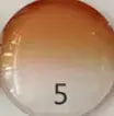 1.56 Index Single Vision Polycarbonate Colored Lenses — view 6 | Rx Spectacle