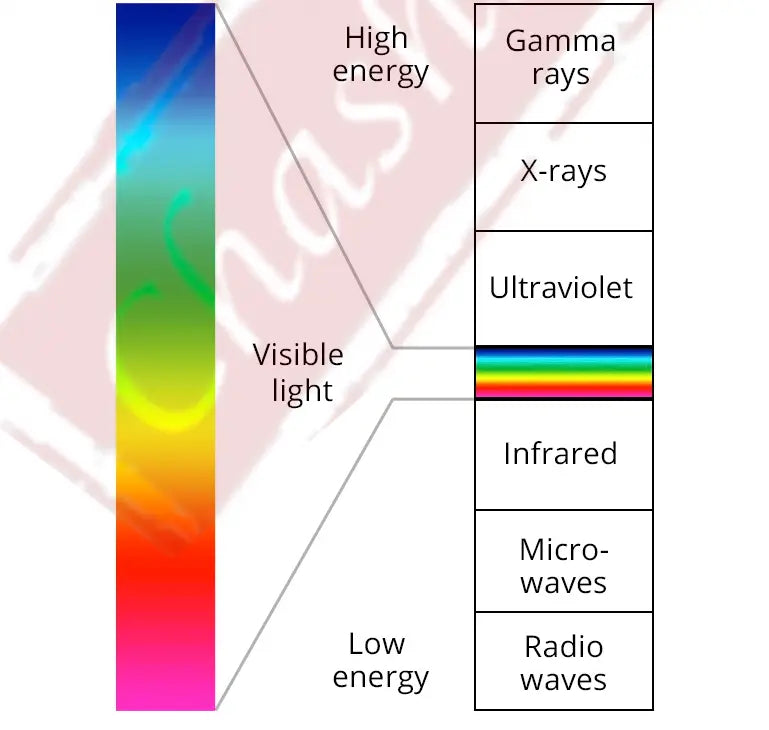 1.56 Index Single Vision Photochromic Lenses Pink — view 6 | Rx Spectacle