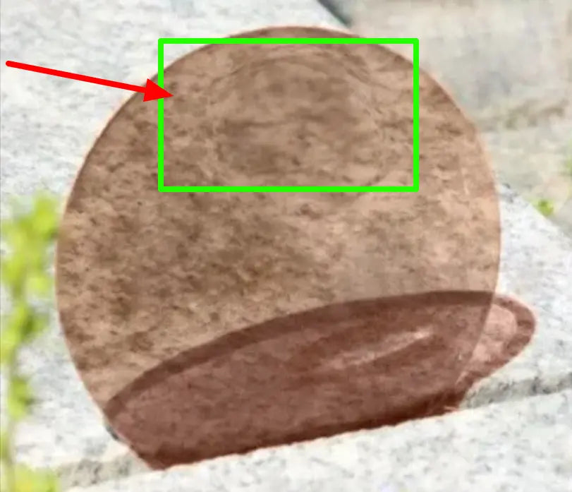 1.56 Index Bifocal Photochromic Lenses — view 7 | Rx Spectacle