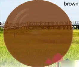 1.56 Index Progressive Photochromic Lenses — view 3 | Rx Spectacle
